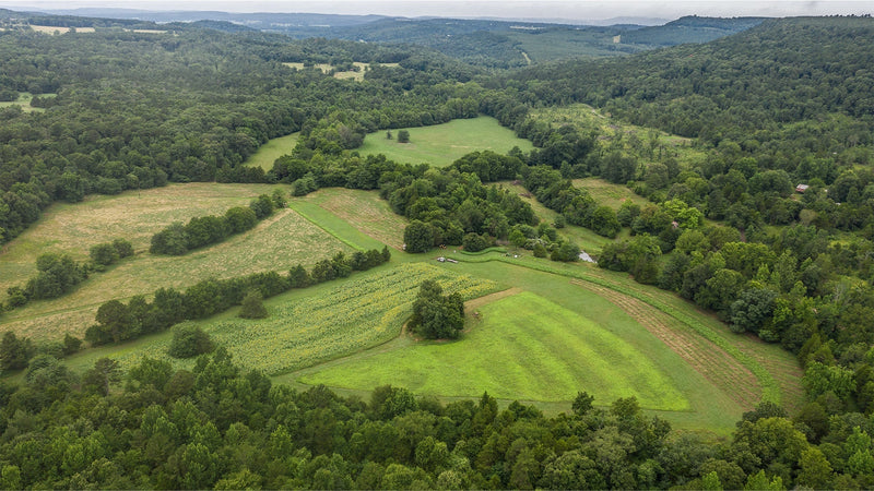 Evaluating New Hunting Land