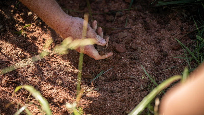 Maximizing Mineral Site Preparation and Maintenance for Whitetails