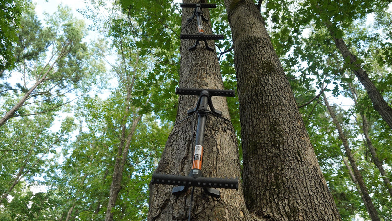 3 Stand Sites for Early Season Bowhunting